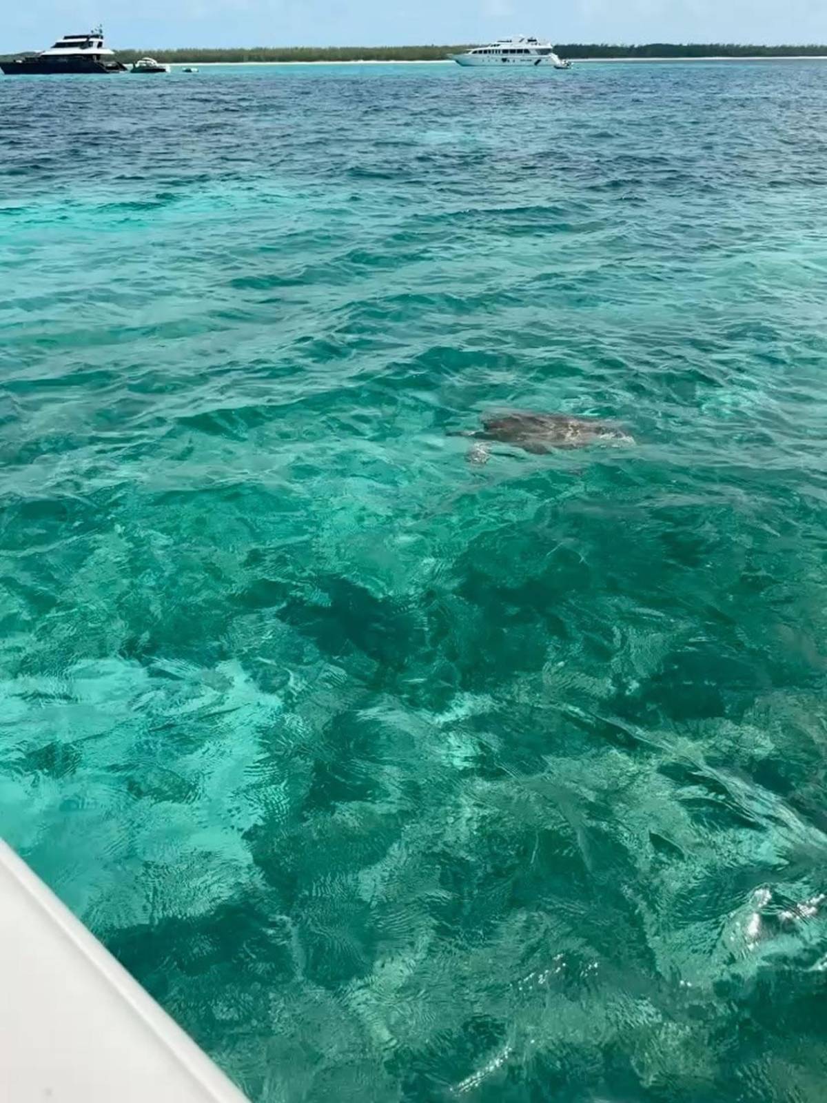 Antonela Roccuzzo enciende las redes en bikini y vuelve locos a sus seguidores: ¿Y Messi?