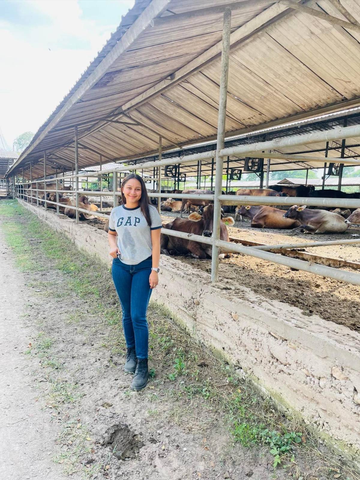Ingenieros fueron dormidos con un jugo antes de ser degollados