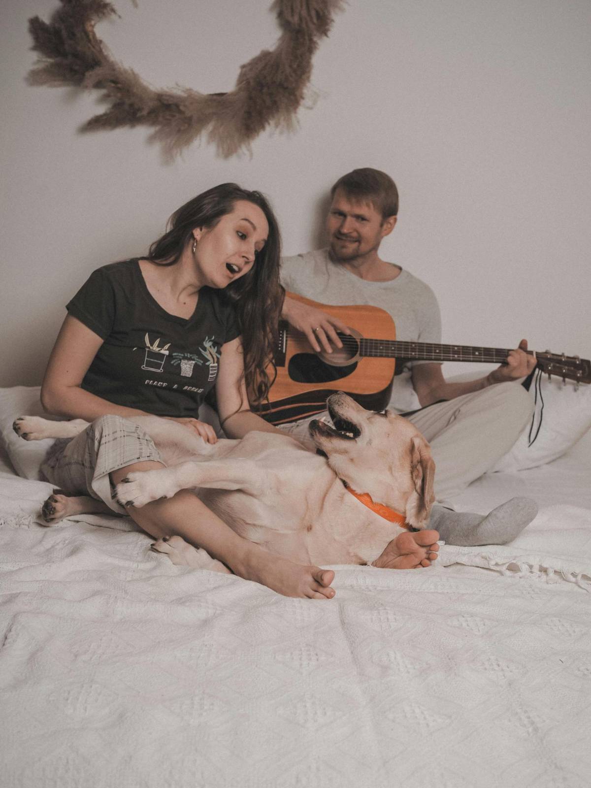 Riesgos y beneficios para los humanos de dormir con las mascotas