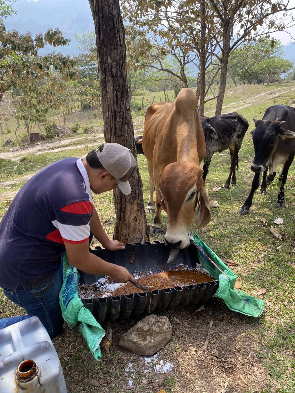 Sueños rotos: la tragedia de Fredy, hondureño ahogado en El Salvador