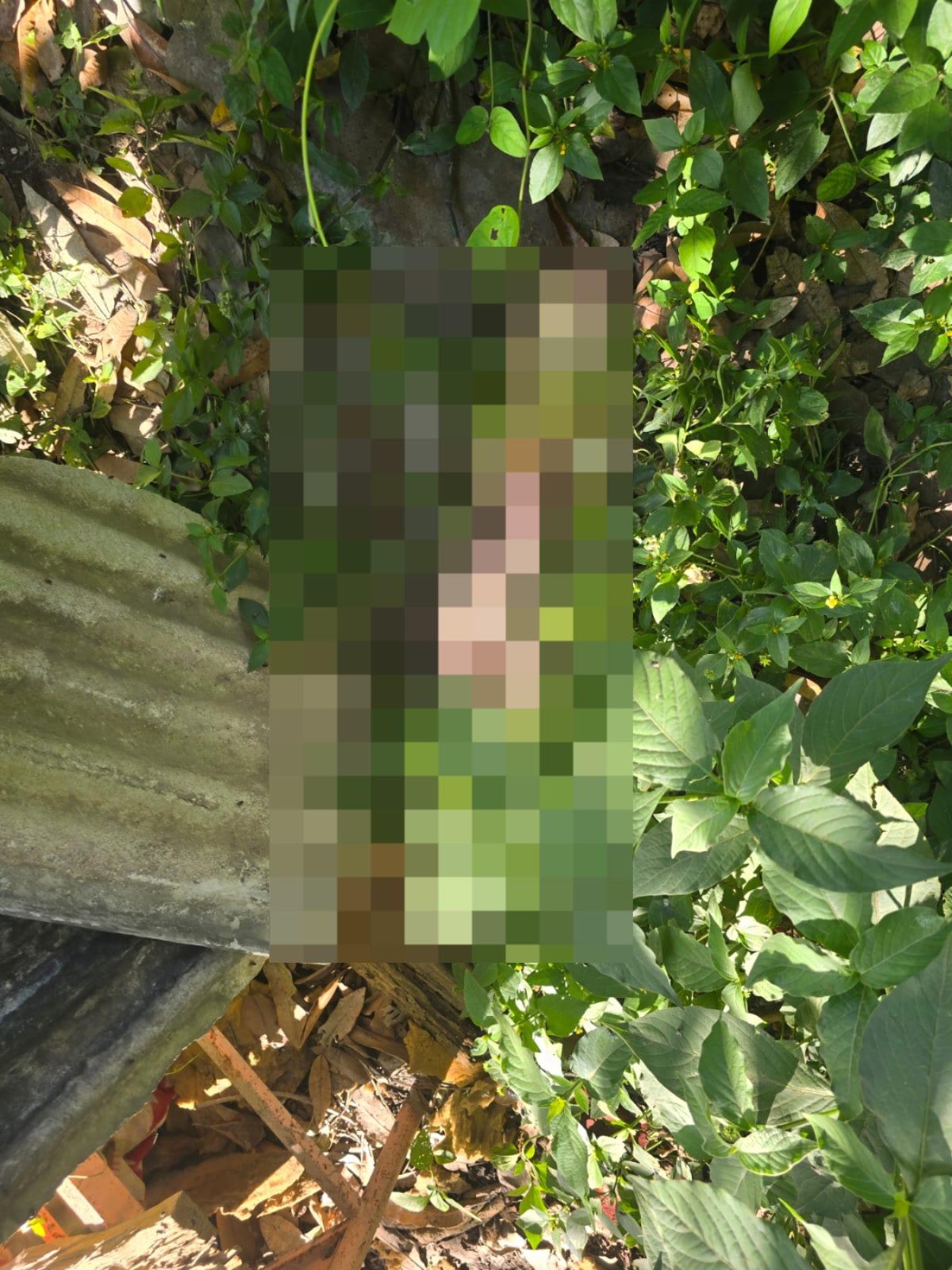 Policía abre investigación contra taquero señalado de tener perros muertos en su casa