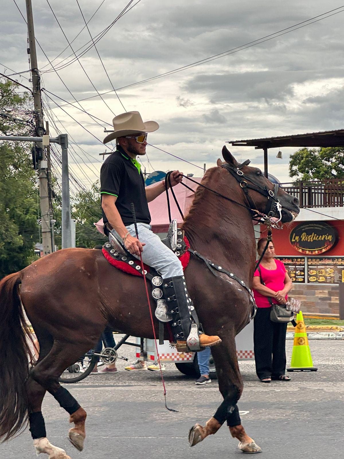 Feria Juniana: sampedranos disfrutan del desfile carrozas