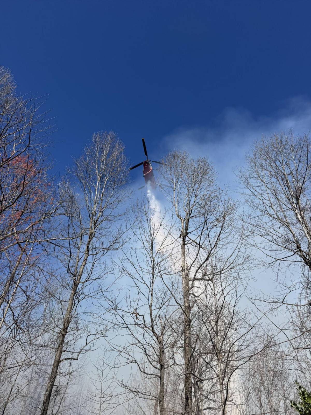 Estado de emergencia en las Carolinas por devastadores incendios