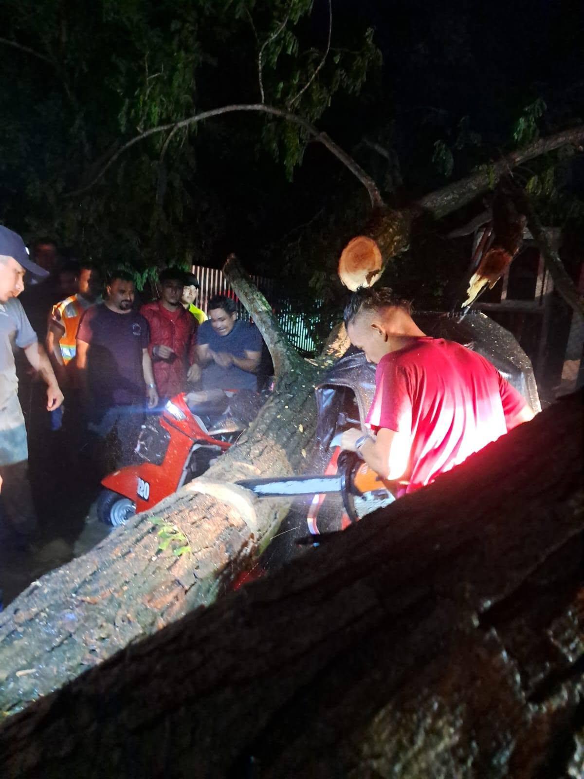 Cristhian iba a convertirse en padre; murió aplastado por árbol en Cofradía