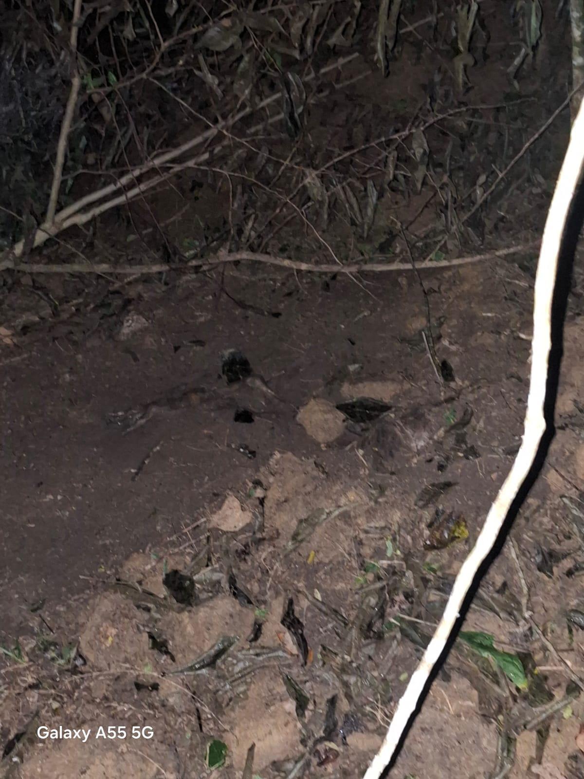 “Nos amenazaron”: Habla asesino de profesora Aleyda Cabrera