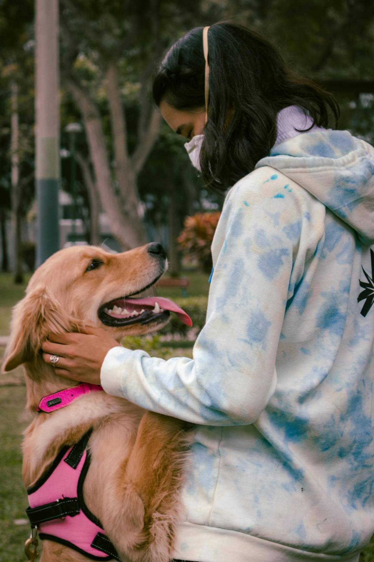 Mascotas adoptadas en pandemia llegan a la mediana edad: señales de envejecimiento