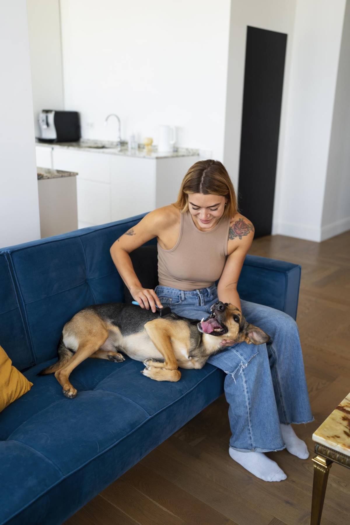Zoomies: ¿Por qué los perros corren como locos de repente?