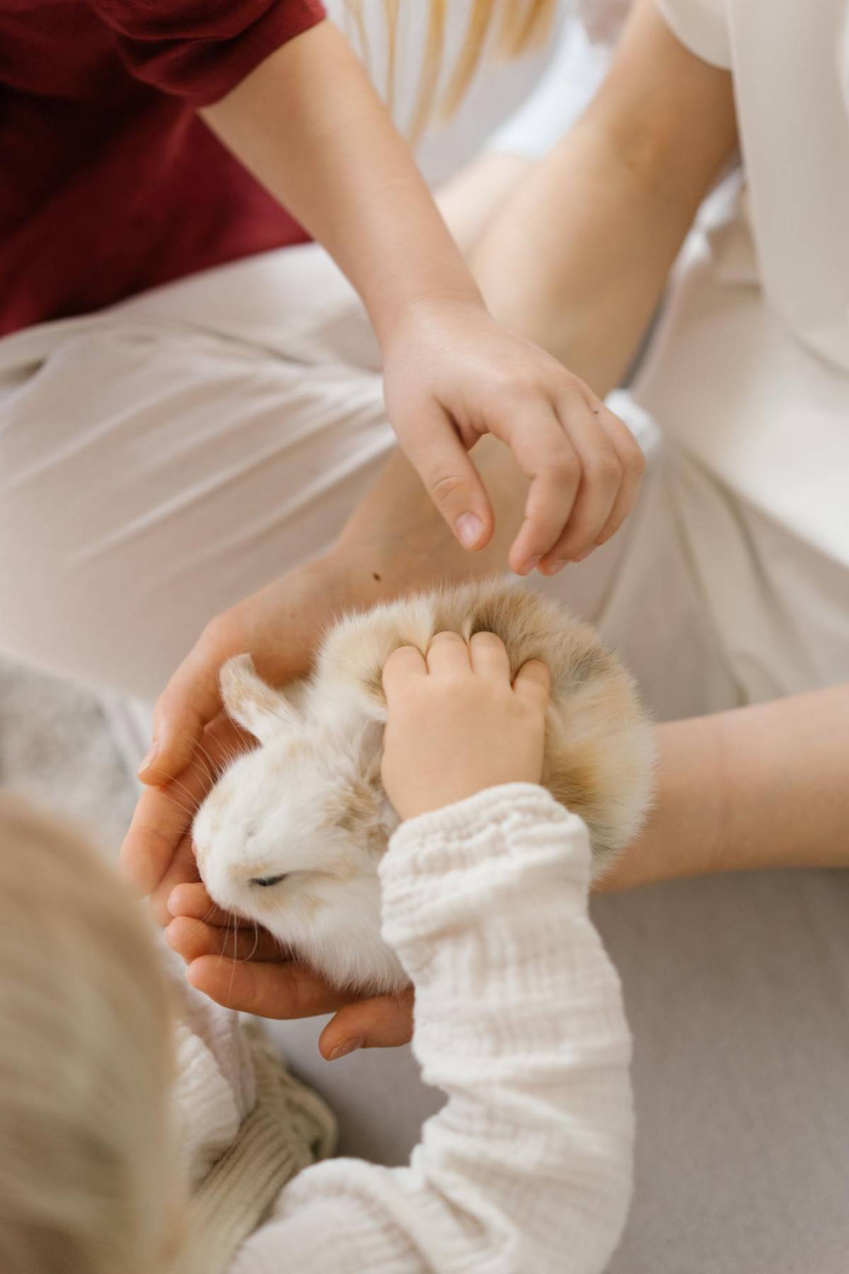 Cuidar varias mascotas ayuda con la salud mental y mejora los hábitos diarios