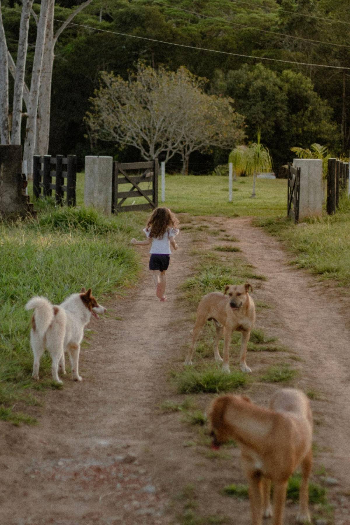 Los niños que crecen con perros son más felices y saludables
