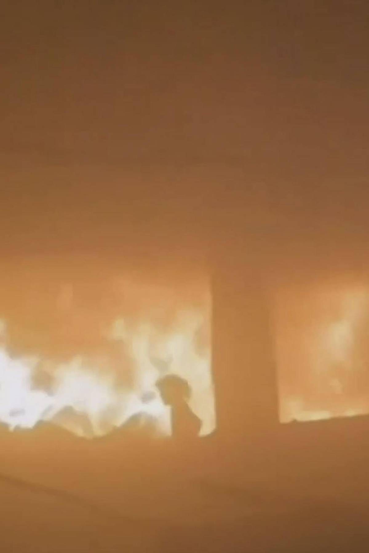 Las dramáticas imágenes del bombardeo de una escuela en Gaza