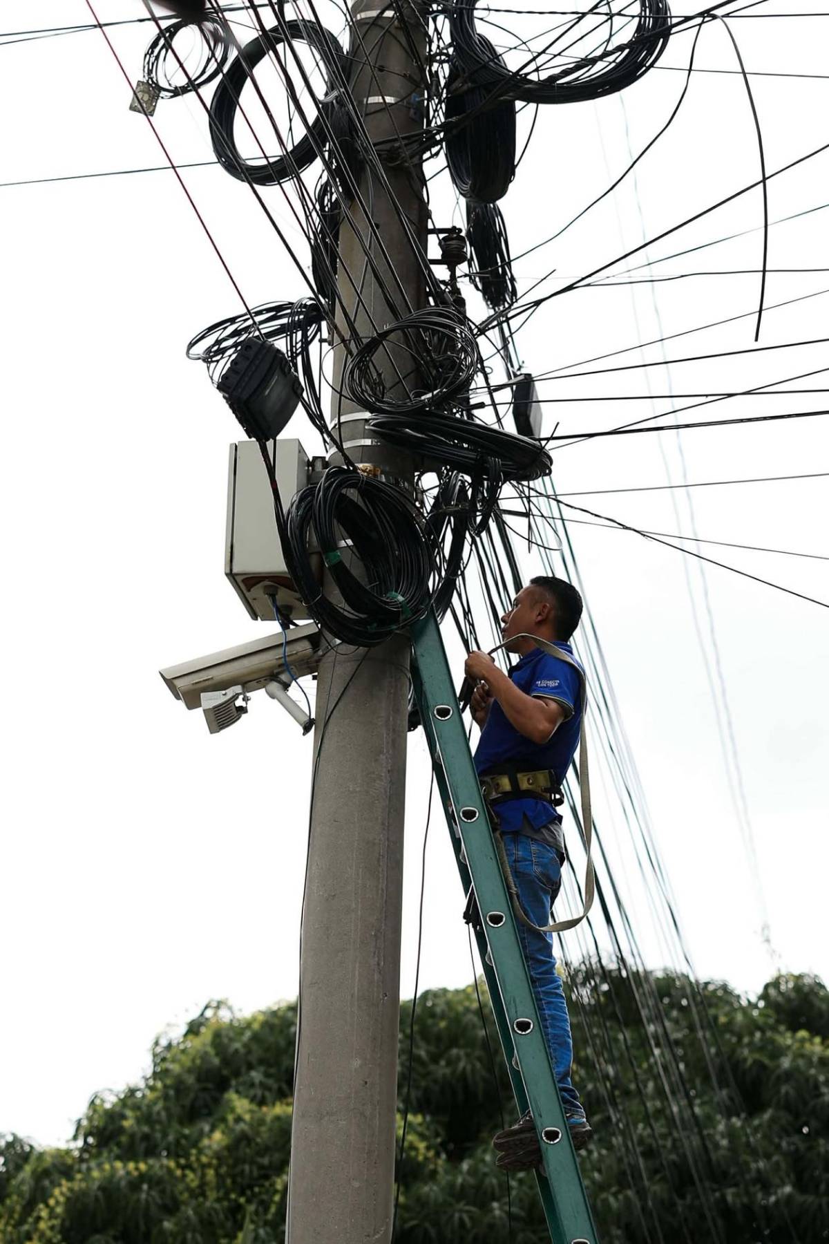 Embellecen estadio Olímpico para la final Marathón - Olimpia: así pulen la grama