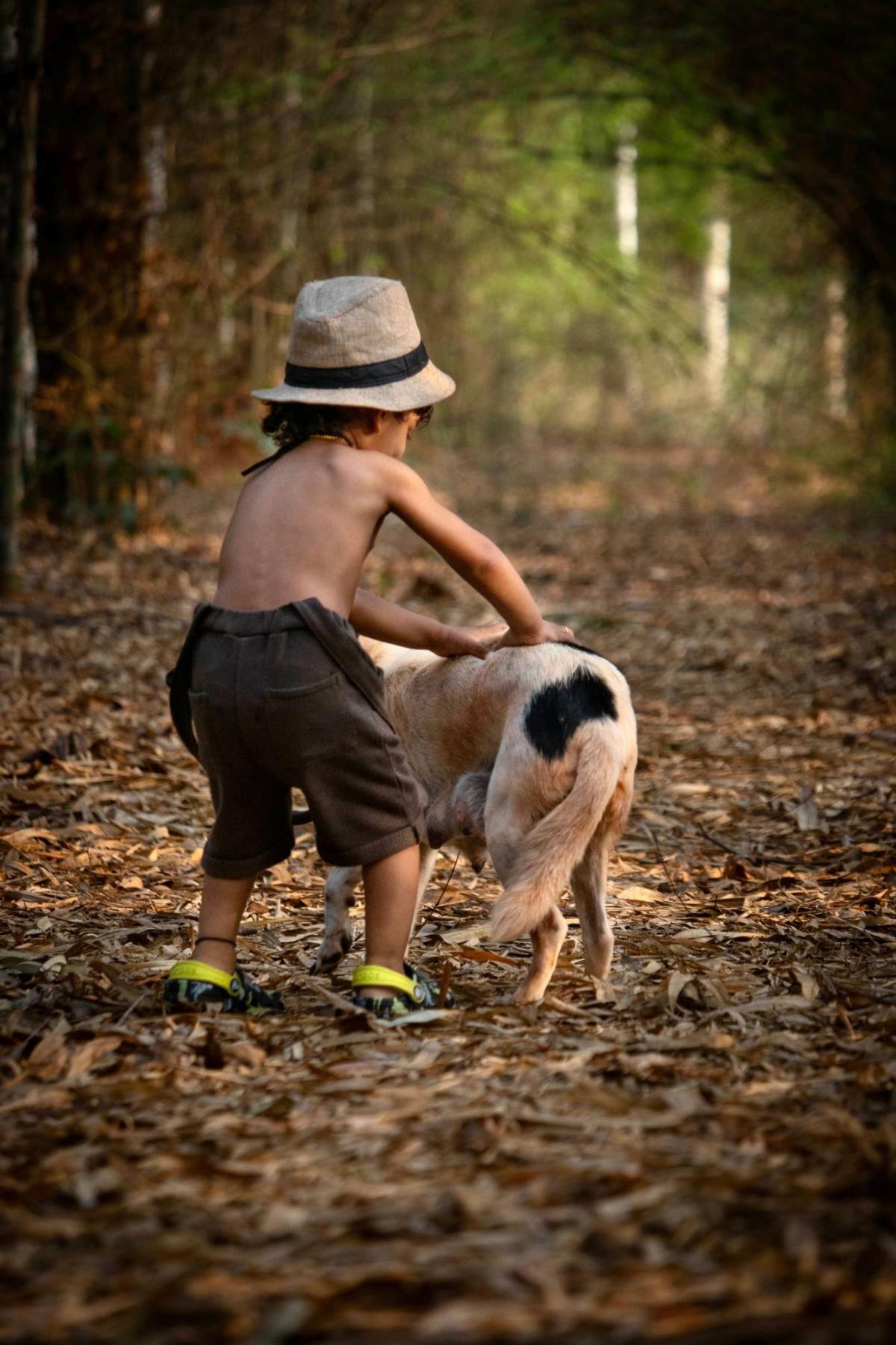 Los niños que crecen con perros son más felices y saludables