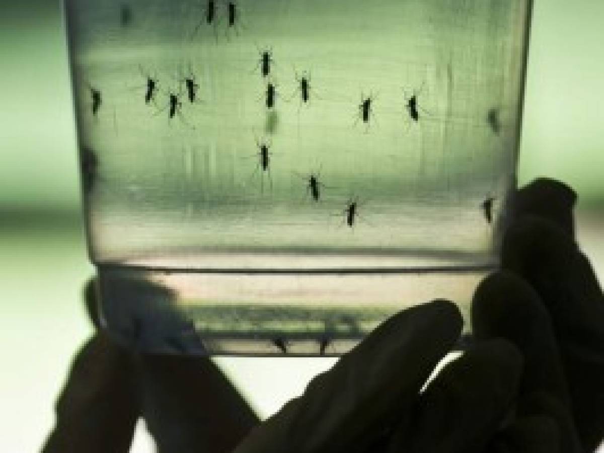 Confirman muerte de 5 bebés por el virus del Zika