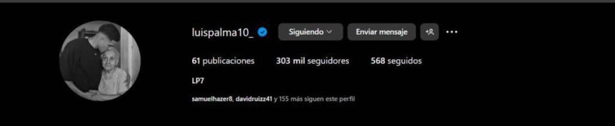 El perfil de Luis Palma ahora sin el Celtic en su descripción.