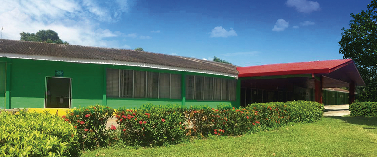 Crit de San Pedro Sula realizará lanzamiento de la Teletón