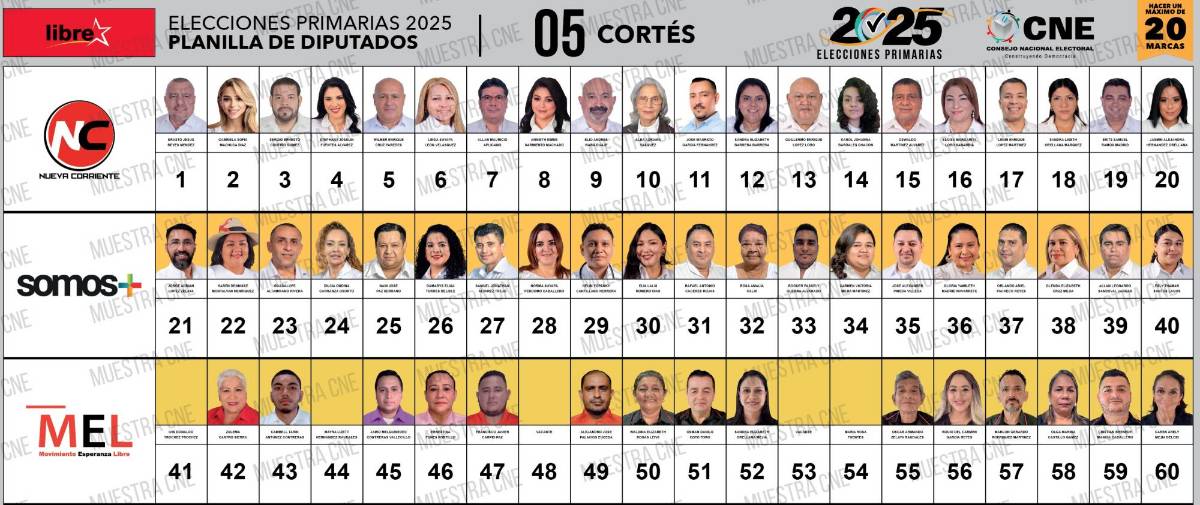 En Libre, 140 personas quieren ser diputados por Cortés