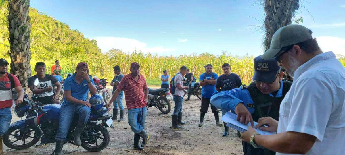 Recuperan otra finca de palma invadida en Colón
