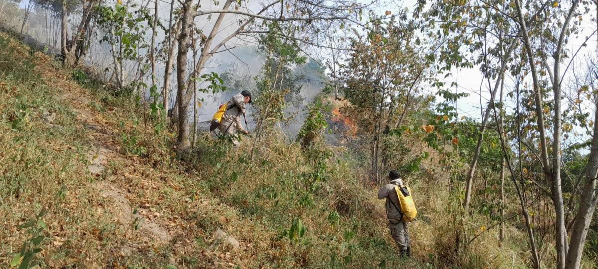 ¿Que es el “efecto lupa” que provoca los incendios forestales?