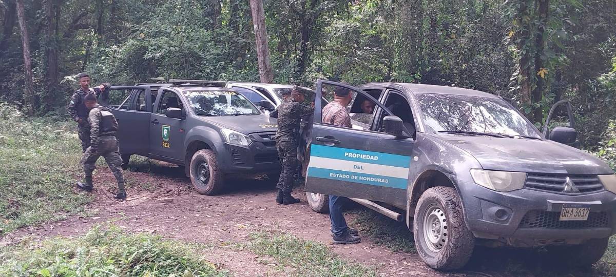 Los operativos en el área protegida han constatado los daños en la subcuenca de Danto, poniendo en riesgo el abastecimiento de agua a futuro.