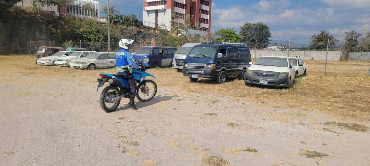 Por Whatsapp podrán denunciar a conductores abusivos