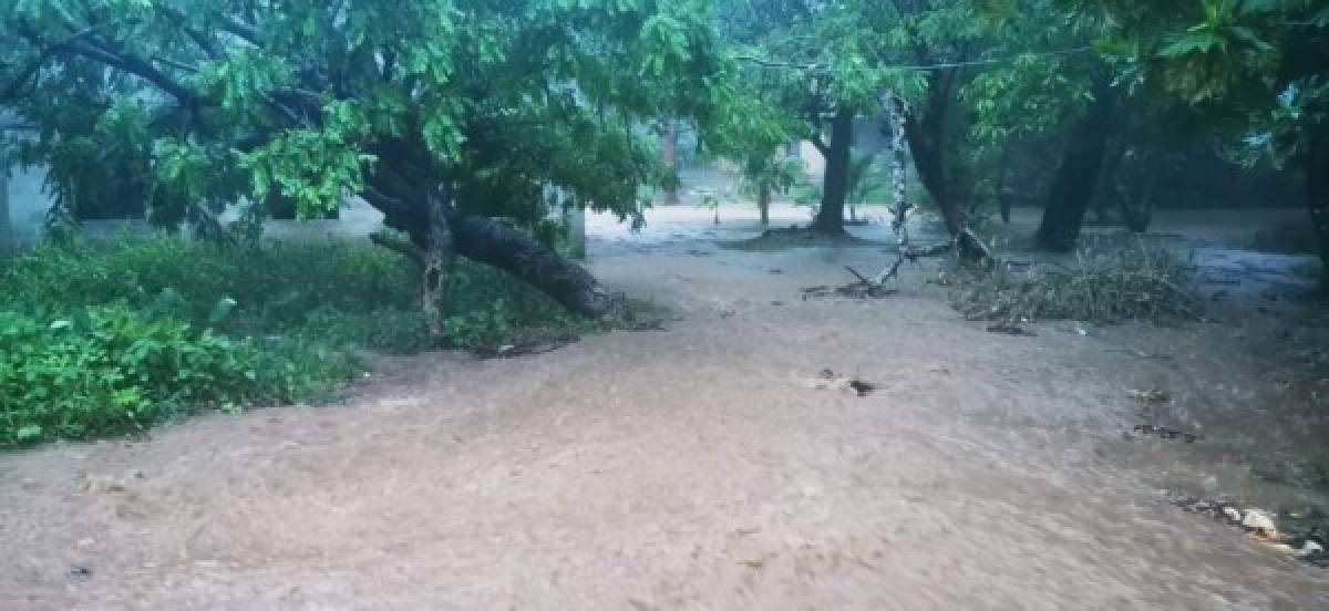 En José Santos Guardiola, Roatan, se registraron en la tarde de este miércoles calles inundadas por las lluvias provocadas por la tormenta tropical Nana.