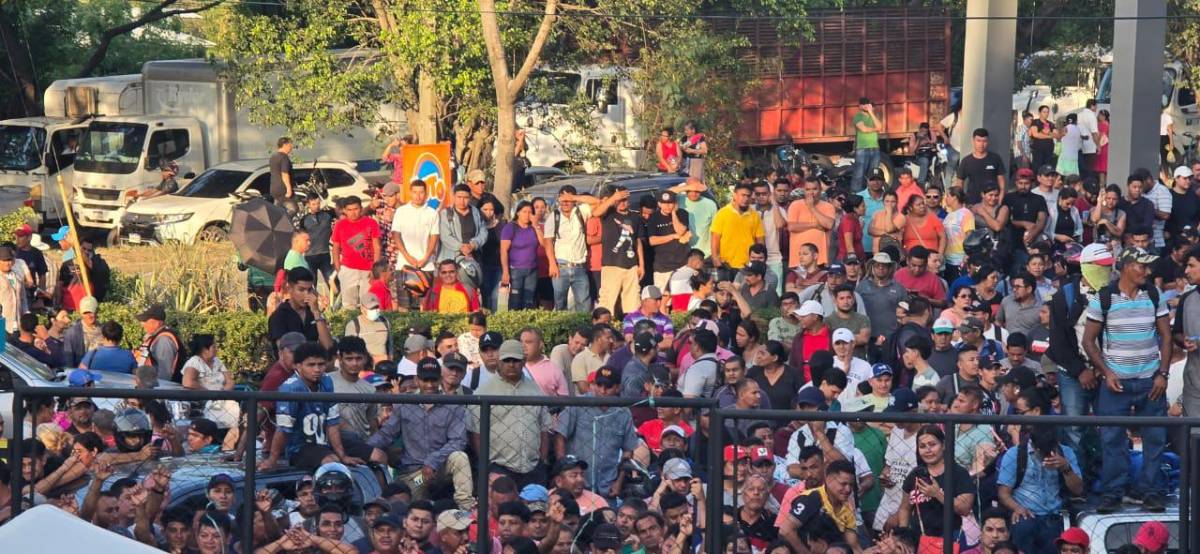 Lo último del caso Koriun: largas filas para cobrar intereses