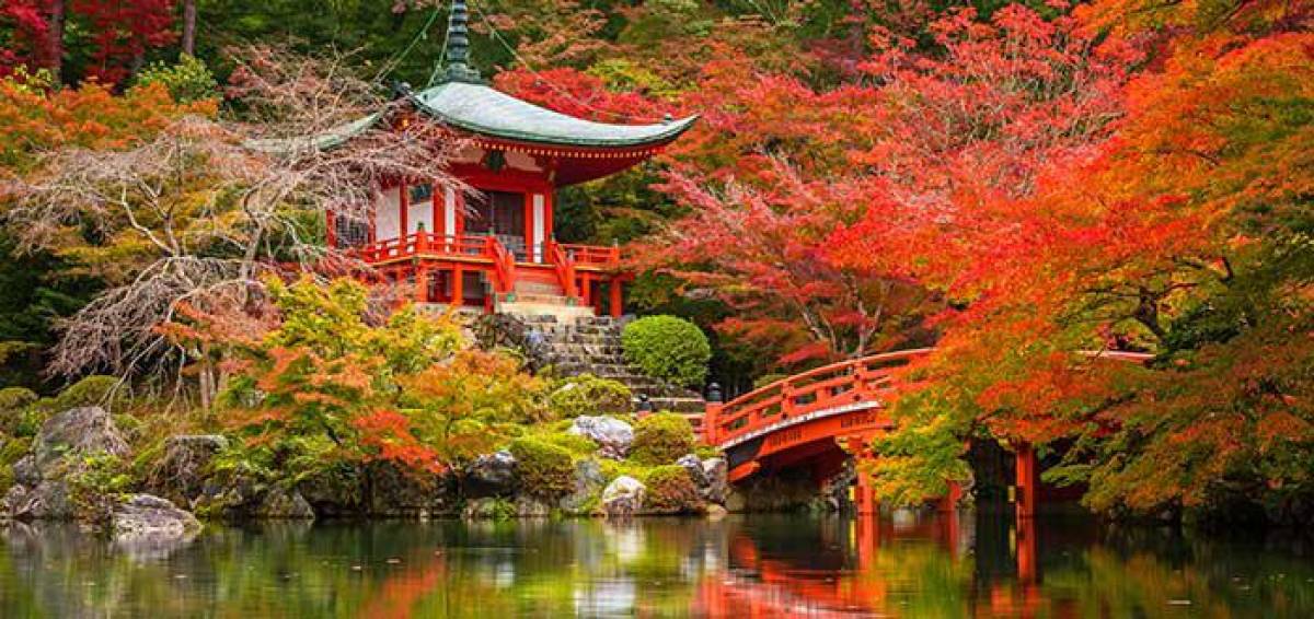 Kioto la antigua capital japonesa sigue siendo el recinto espiritual de la vida sintoísta de Oriente; el juego entre la tradicional vegetación nipona, estructuras impresionantes que te transportarán a época imperial, una rica historia y muchas otras cosas convierten a Kioto en una de las ciudades más bonitas del mundo. 