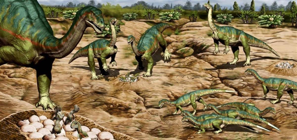 Nuevo estudio revela que los dinosaurios vivían en manadas