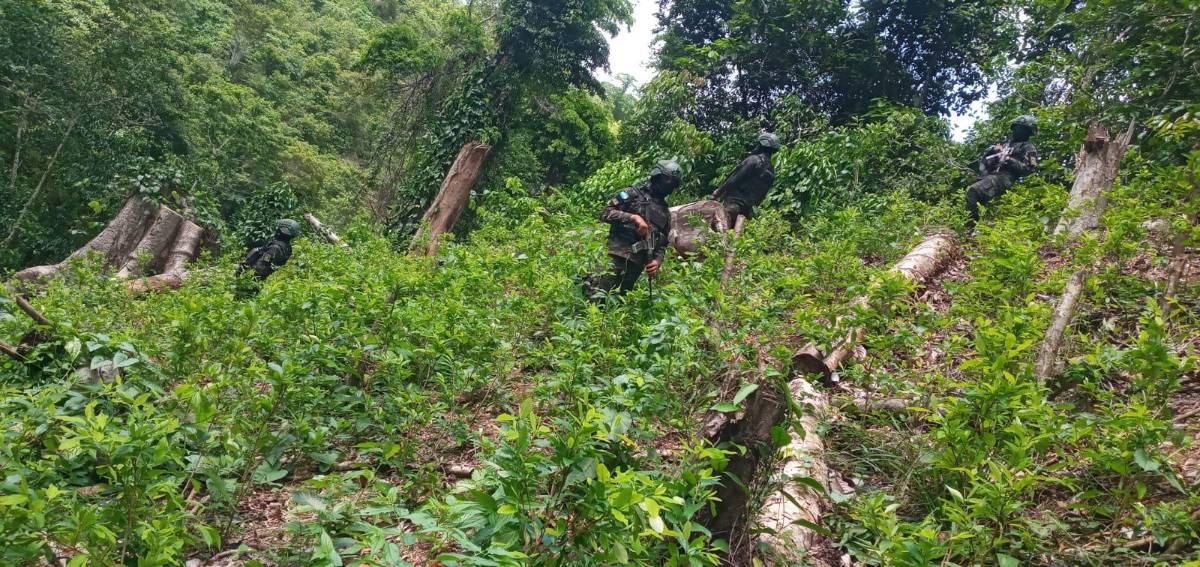 Honduras se ha convertido en un país productor de droga.