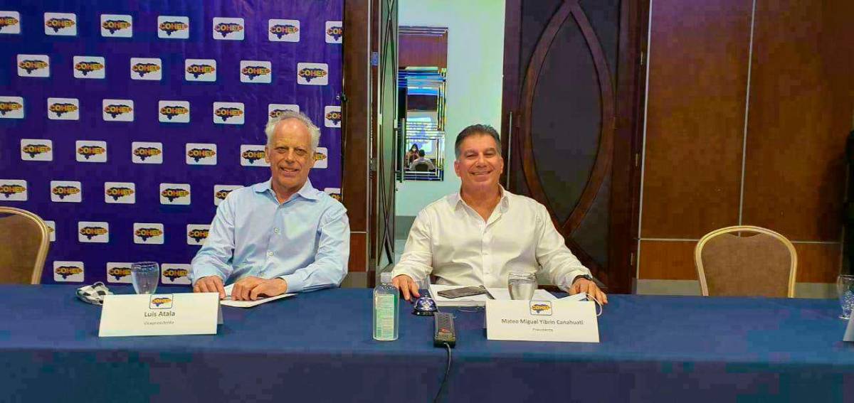 Reconocido experto exhorta a sectores público y privado trabajar juntos