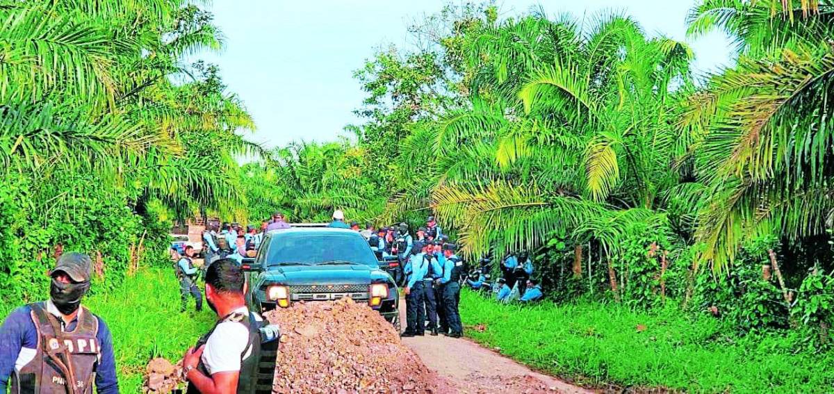 Campesinos han parado desalojos de tierras en poder de la Oabi en el Bajo Aguán, mientras piden celeridad para la aprobación de la ley que les adjudique propiedades para ser cultivadas. Aún no hay datos de cuántos son los bienes.