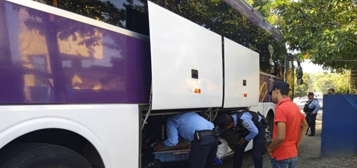 Policías registran las maletas llenas de droga.