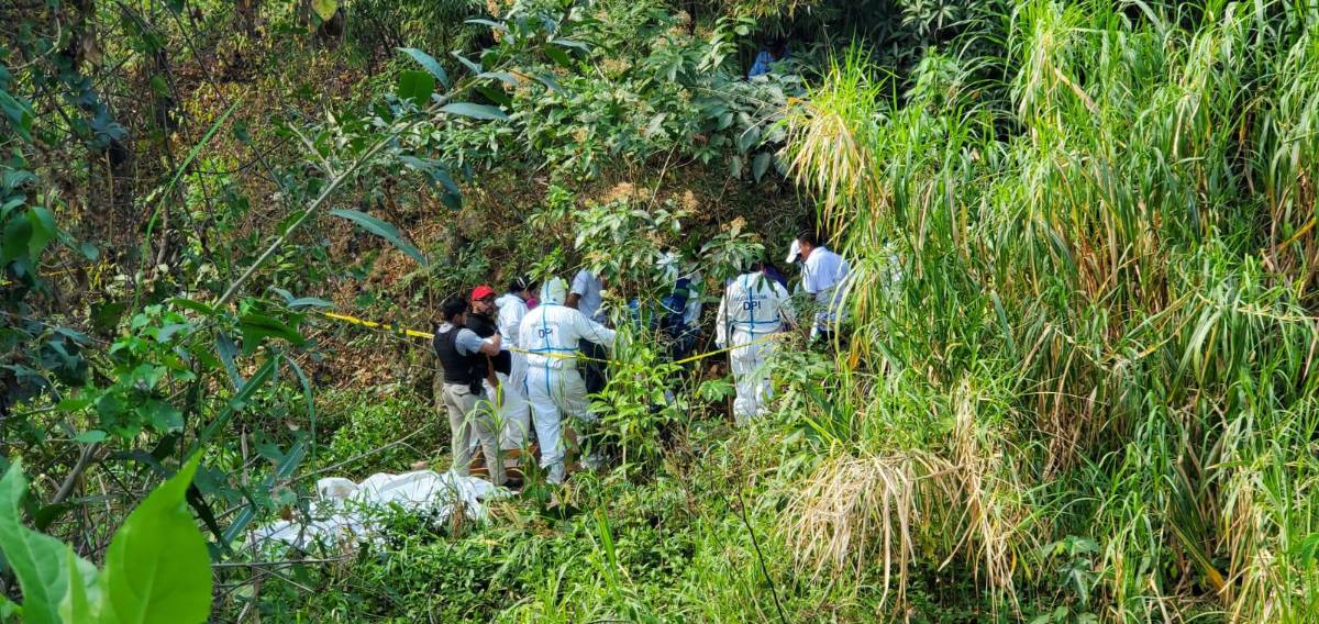 Hombre mata a una joven hondureña con bisturí