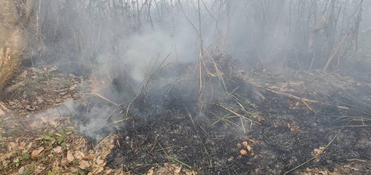 Piden investigar incendio en zona núcleo de Cuero y Salado