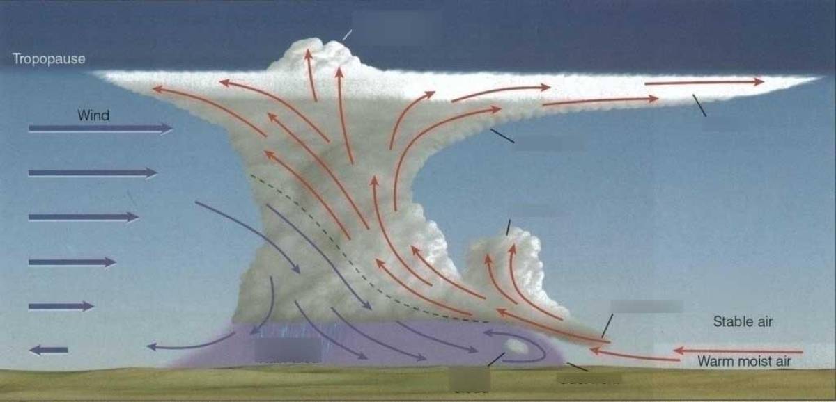 Esquema de las zonas de vientos ascendentes y vientos descendentes en una nube cumulonimbos en su etapa madura.