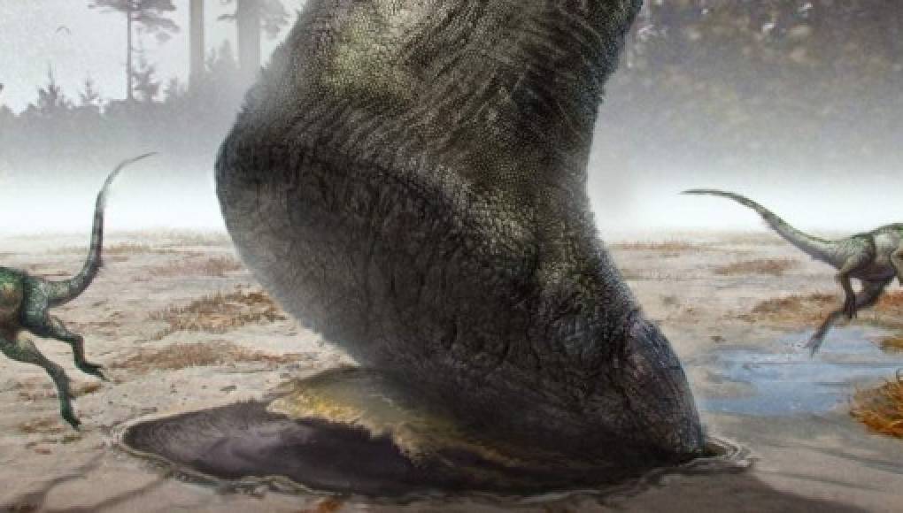 El pie de dinosaurio más grande descubierto hasta la fecha