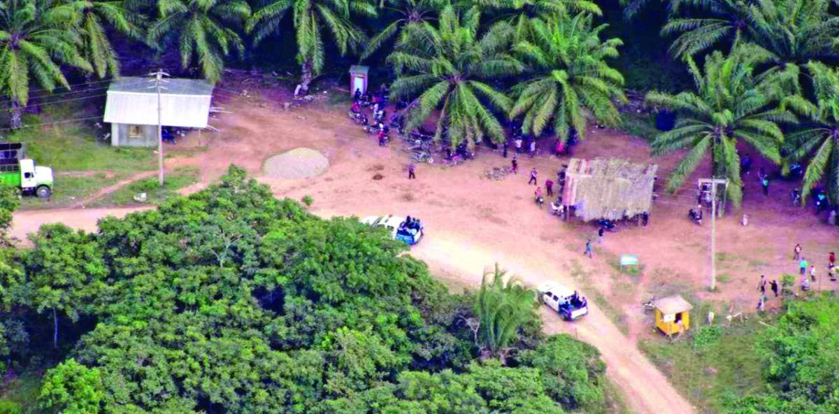 Inician desalojos de tierras usurpadas en varias regiones de Honduras