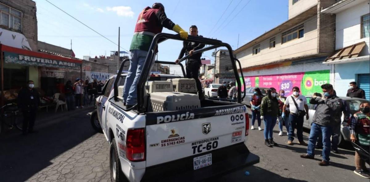 Los operativos se dieron por las denuncias ciudadanas.