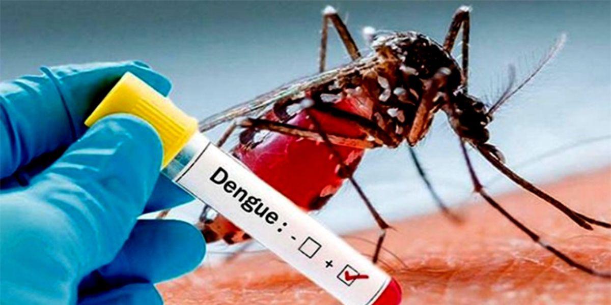 Alerta por epidemia de dengue se extiende a nueve departamentos