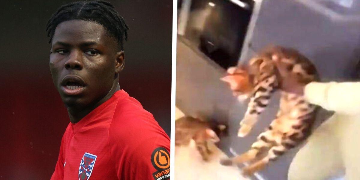 Hermano de Zouma es apartado por su equipo por el video pateando a un gato