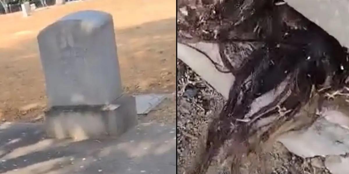 Video viral: hombre halla cabello humano saliendo de una tumba
