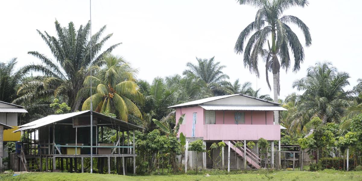 La violencia desplazó a casi 300 personas de sus hogares este año