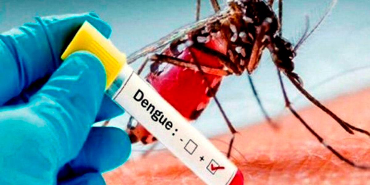 Dengue cobra la vida de un recién nacido en el Mario Rivas