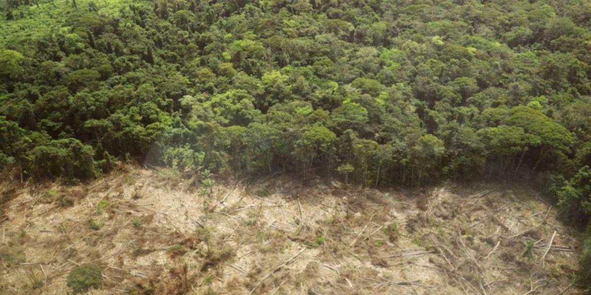 El 50% de la biósfera del río Plátano está usurpada