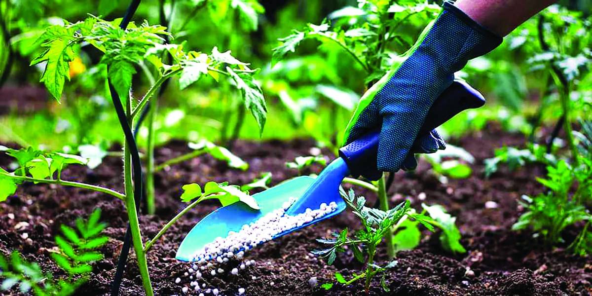 Productores hondureños manifiestan preocupación por las consecuencias del conflicto ruso-ucraniano.