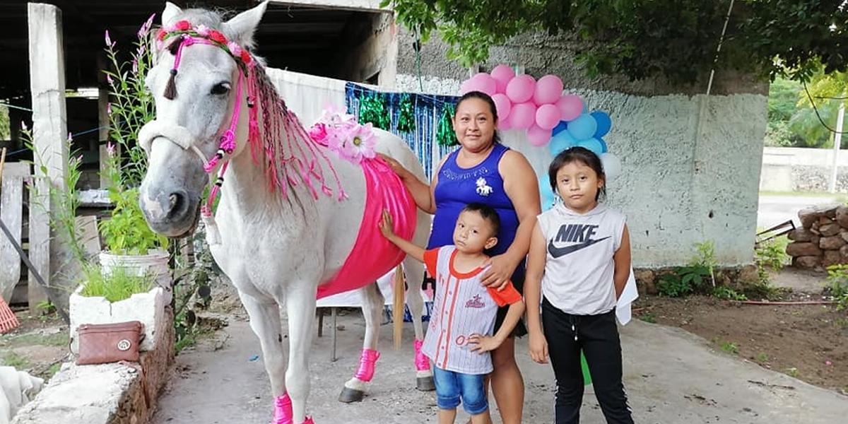 Fotos virales: le hacen “baby shower” a una yegua en México
