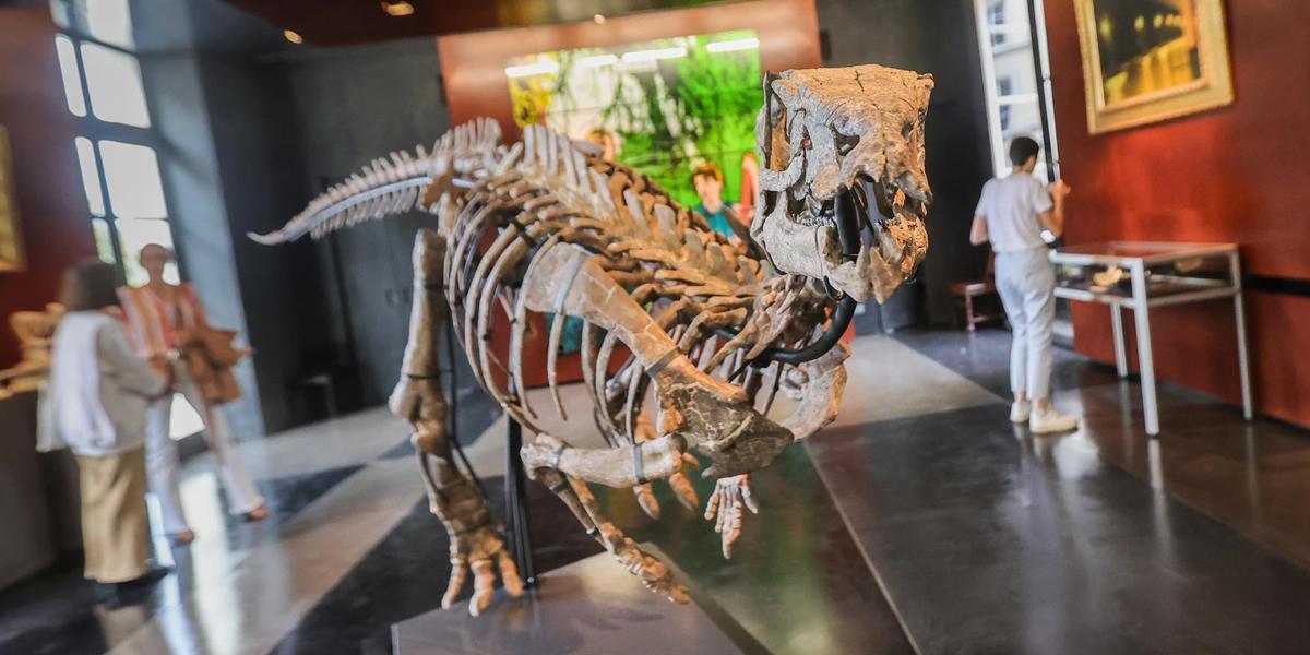 Se subasta en París un dinosaurio de 150 millones de años muy bien conservado