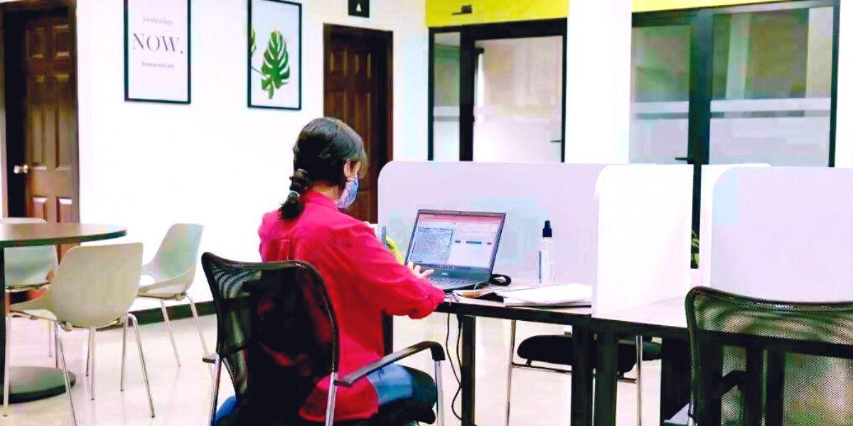 “Coworking”, opción laboral para los emprendedores de San Pedro Sula