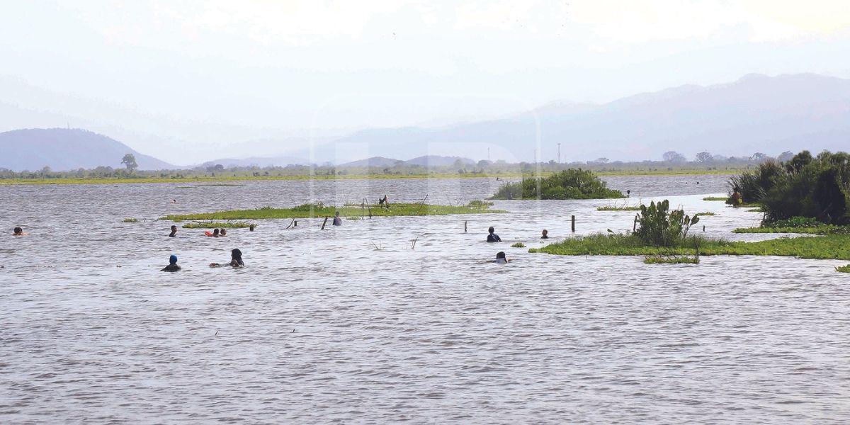 Buscan declarar zona de importancia biológica la laguna de Jucutuma