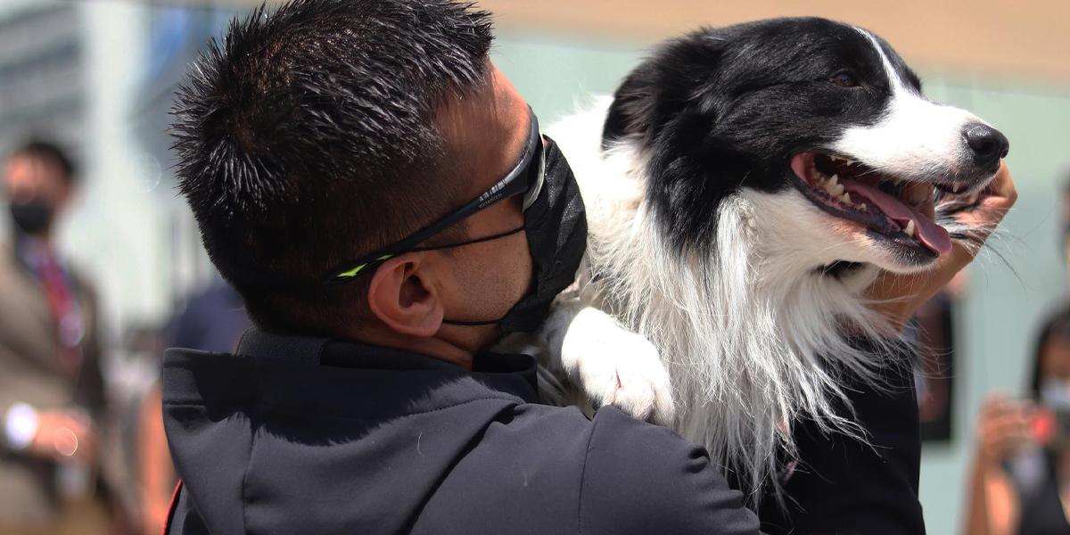 Condenan a diez años de cárcel a un asesino de perros en el centro de México